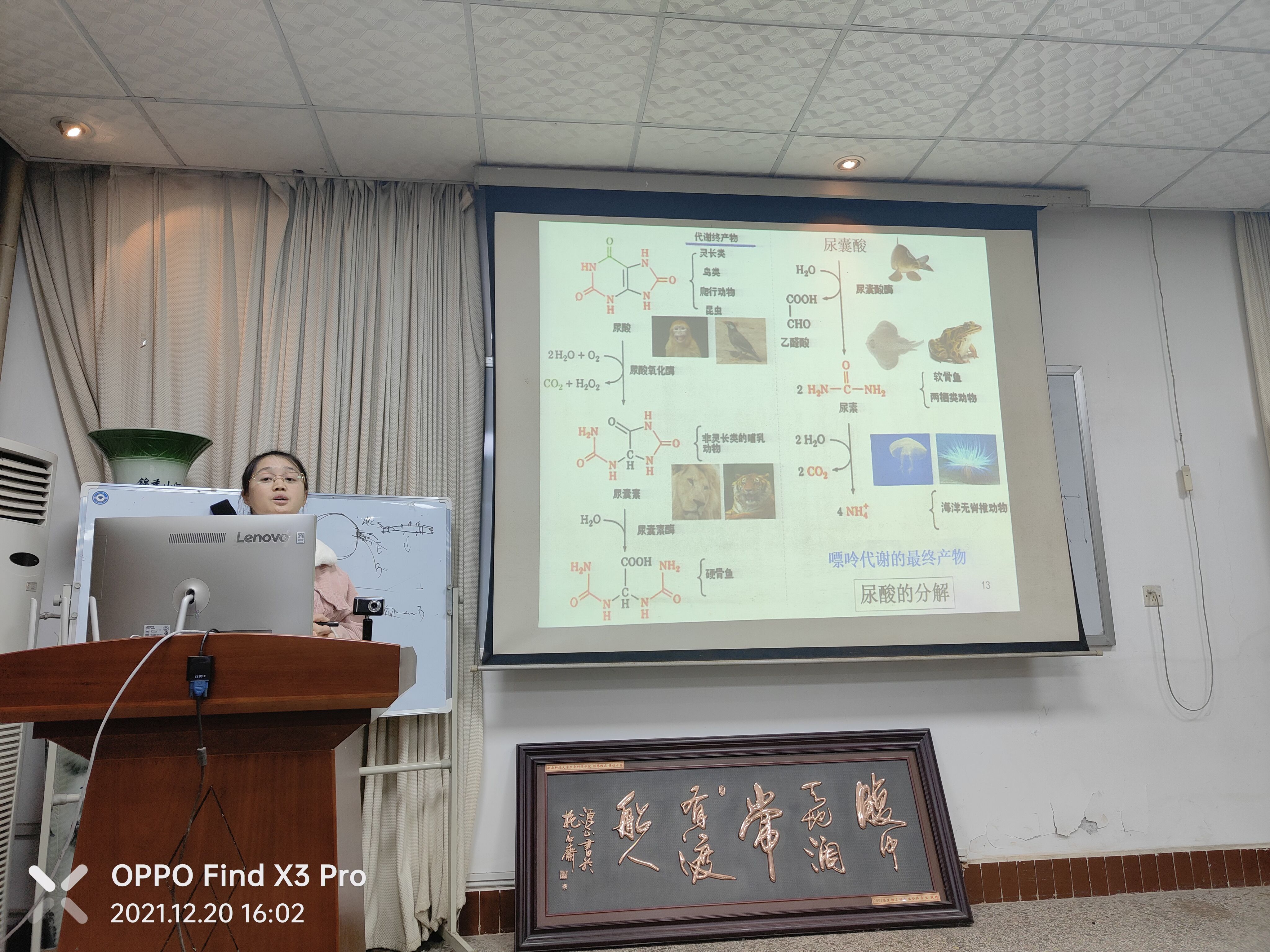 e72bafe43cf24213ba91e3e92d42535f.jpg e72bafe43cf24213ba91e3e92d42535f.jpg