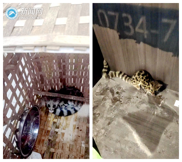 eb949393064e4c6fbd87a5b93073e5da.jpg 微信图片_20220817164826_副本_副本.jpg