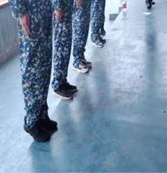 521e5374db864563ba87a7dda10c3ee4.png 521e5374db864563ba87a7dda10c3ee4.png