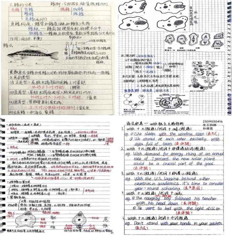 e01748e870cd408aa20039dad4b41d65.jpg cc44f67810344271902cf5c40f7d6708.jpg